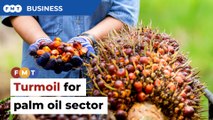 As prices decline, palm oil producers are seeing sharp drop in profits