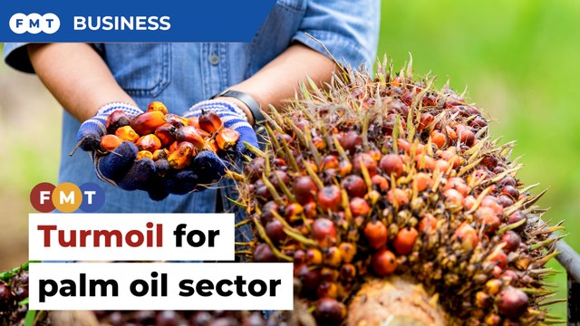 As prices decline, palm oil producers are seeing sharp drop in profits