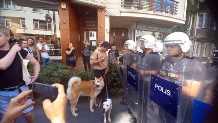 LGBT bireyle polis arasında ilginç 'köpek' diyalogu: "O i..ne değil, o niye geçemiyor"