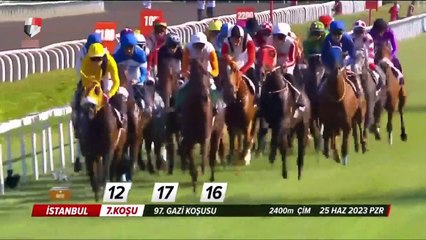 Dernière minute：Le lion d'Urfa, jockeyé par Mehmet Kaya, a remporté la 97e course de Gazi