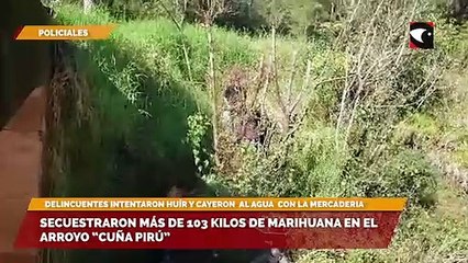 Secuestraron más de 103 kilos de marihuana en el arroyo “Cuña Pirú”