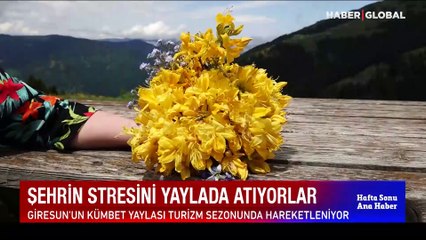 Göğe komşu, topraklarda tatil... Şehrin stresini yaylada atıyorlar