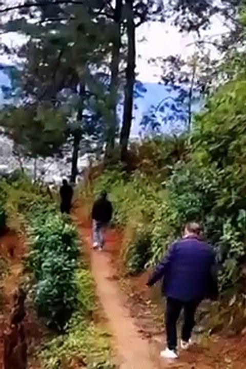 Best_Funny_Videos_2022__Cute_People_Doing_Stupid_Thing_Part534(240p)