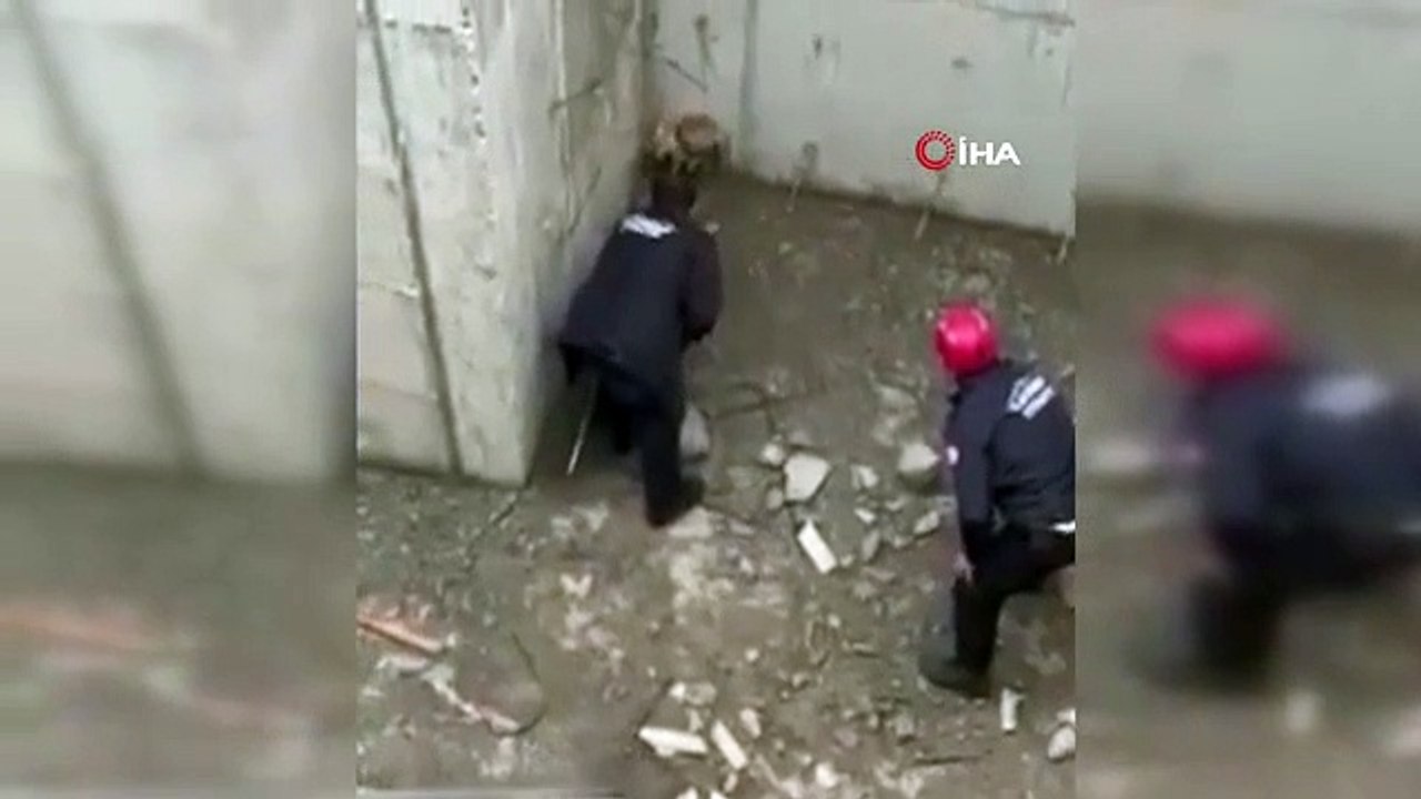 Les pompiers sont venus en aide au renard tombé sur les fondations de la construction