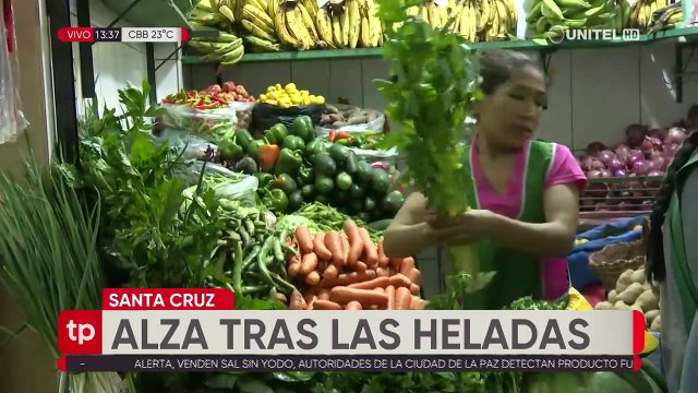 Sube el precio de las verduras en mercados de Santa Cruz por las heladas
