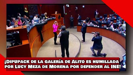¡VEAN! ¡Dipupack de la galería de Alito es humillada por Lucy Meza de Morena por defender al INE!