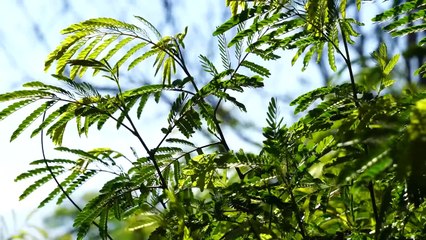 100 Moments That Prove Nature Is Unbelievable