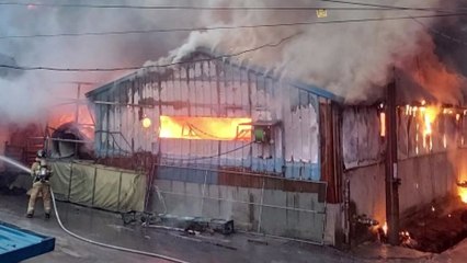 전북 정읍 돼지 농장에서 불...1,700여 마리 폐사 / YTN