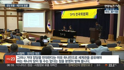 정의 "제3세력과 재창당"…양항자·금태섭 신당과는 '선긋기'