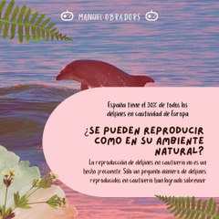 |MANUEL OBRADORS| ¡LEYES ESTÁN EN CONTRA DEL MALTRATO ANIMAL (PARTE 2) (@MANUELOBRADORS)