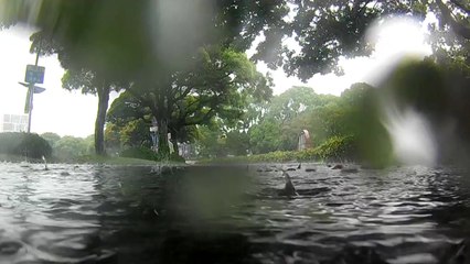 [뉴스라이더] '역대급 장마' 본격 시작...전망과 대비책은? / YTN