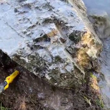 We found treasure under the picture of fish carved into the rock! | We found treasure under the picture of fish carved into the rock! |