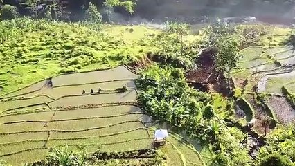 Healing Soun _Relaxing music _Best Inspirational _Scenery