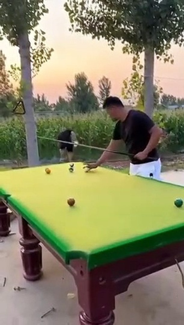 Entertainment funny comedy videos