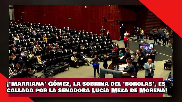 ¡VEAN! ¡'Marriana' Gómez, la sobrina del 'borolas', es callada por la senadora Lucía Meza de Morena!
