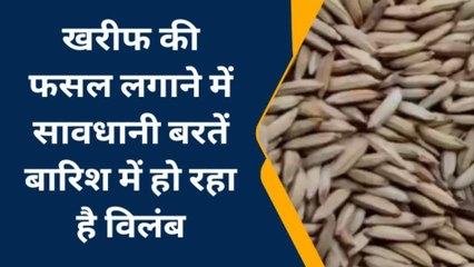 मधुबनी: बारिश नहीं होने की वजह से किसान मायूस, कृषि अधिकारी ने दी नसीहत