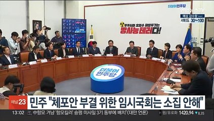 민주 "체포안 부결 위한 임시국회는 소집 안해…당론 부결 않겠다"