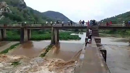 सरिस्का की वादियों में बारिश के बाद नटनी के बारा में आया पानी, देखें वीडियो