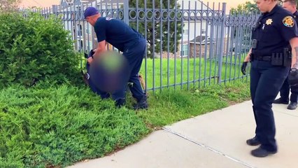 Police officers rescue deer stuck between bars of metal fence using 'jaws of life' tool