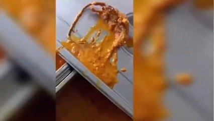 हापुड़ में छात्रों की जान से खिलवाड़, मटर पनीर में निकला "चूहा"