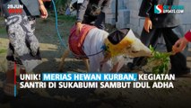 Unik! Merias Hewan Kurban, Kegiatan Santri di Sukabumi Sambut Idul Adha