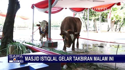Wapres Ma'ruf Amin Akan Salat Iduladha 1444 Hijriah di Masjid Istiqlal Jakarta