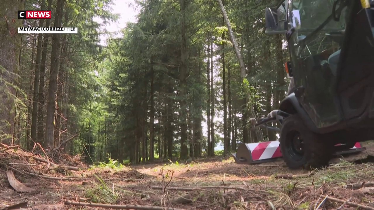 Corrèze : Lancement de fouilles pour retrouver des soldats allemands exécutés par la Résistance