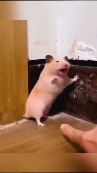 Funny video....