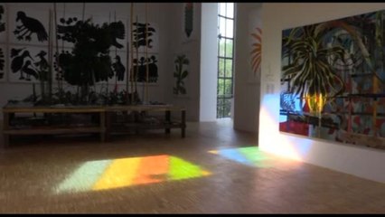 Foresta come spazio d'arte: Fondazione Cartier torna in Triennale