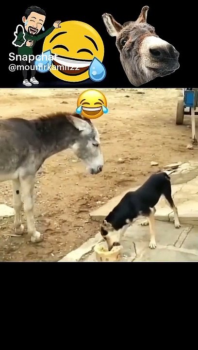 Funny cartoon