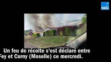 Un feu a ravagé une cinquantaine d'hectares en Moselle ce mercredi.