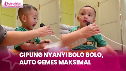 Cipung Nyanyi Bolo Bolo, Auto Gemes Maksimal