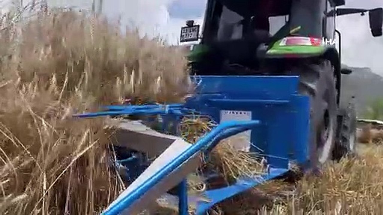 Les terres inactives de Mersin Erdemli ont été mises en production, la première récolte a été faite