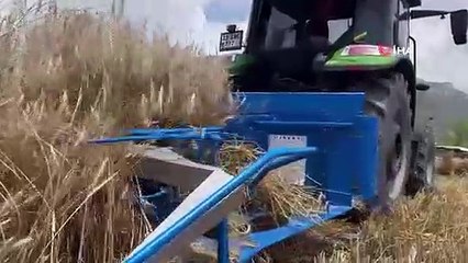 Les terres inactives de Mersin Erdemli ont été mises en production, la première récolte a été faite