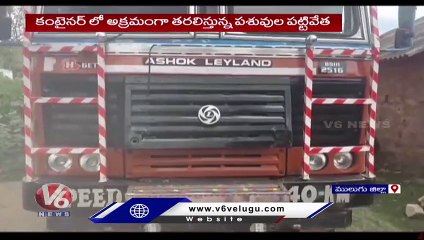 Police Caught Illegal Cows Transport Container _ Mulugu _ V6 News
