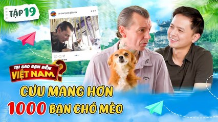 Người đàn ông Pháp dành gần 20 năm cưu mang hơn 1000 chó mèo  Tại Sao Bạn Đến Việt Nam 19