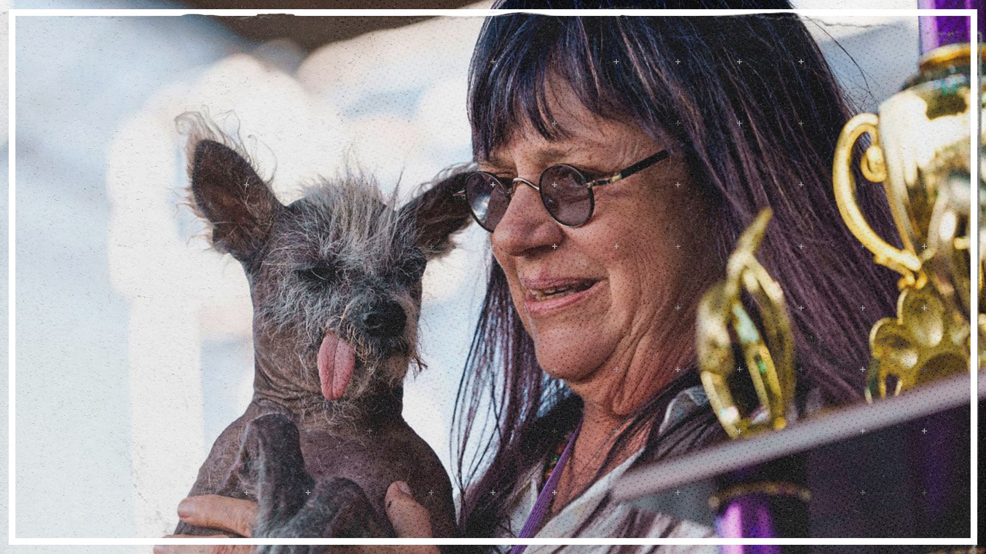 Scooter ist der hässlichste Hund der Welt, image size:1920x1080