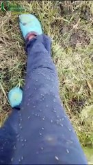 Elle vit un cauchemar dans son jardin à cause des moustiques