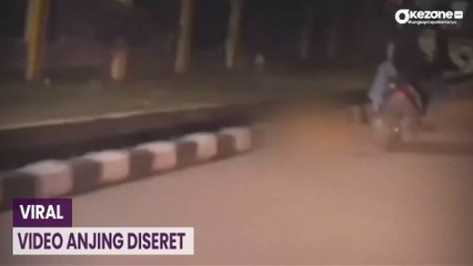 OKEFLASH: Polisi Tangkap Pelaku VIdeo Viral Seret Anjing