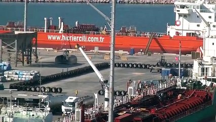 Mauvaises odeurs provenant du port de Bandırma Çelebi： Le navire qui a amené 7 000 génisses est gardé dans le port