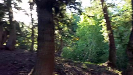 Dessan Meadows Kalam