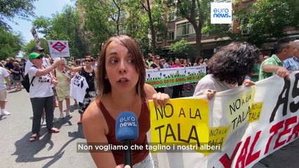 "Non abbattete i nostri alberi¨!". Proteste a Madrid