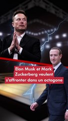 Pourquoi Elon Musk et Mark Zuckerberg veulent-ils se battre entre eux ?