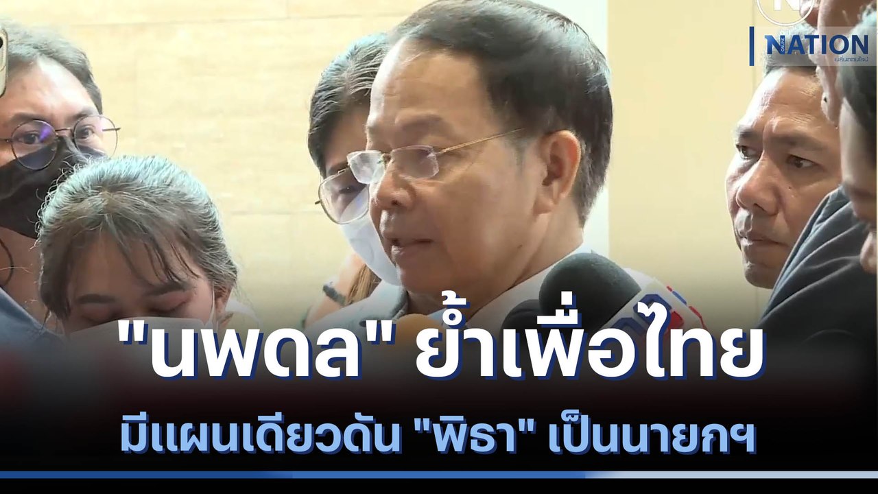 "นพดล" ย้ำเพื่อไทยมีแผนเดียวดัน "พิธา" เป็นนายก...