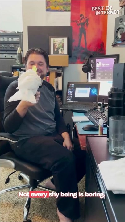 Cockatoo is Obsessed with Dancing to Rap Rock Music || Best of Internet