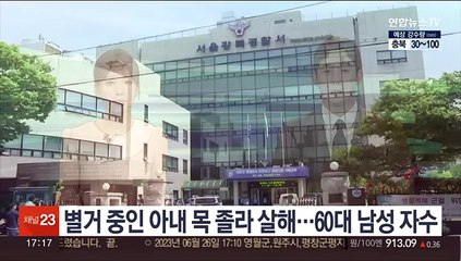 별거중인 아내 목 졸라 살해…60대 남성 자수