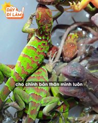 Khởi nghiệp từ rồng đất, cô gái đem về khoản tiền khủng đến bất ngờ