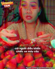 Làm review bằng cả trái tim, review như này chỉ có lời ....