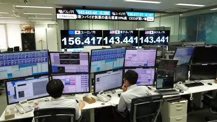 Las autoridades financieras de Japón alertan sobre la "rápida" depreciación del yen