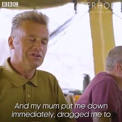 Giraffe coat patterns are like fingerprints, totally unique!   #WorldGiraffeDay